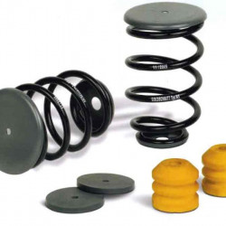 Rear axle coil springs for Euro chassis, etc.