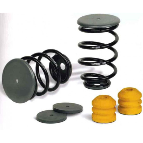 Rear axle coil springs for Euro chassis, etc.