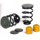 Rear axle coil springs for Euro chassis, etc.