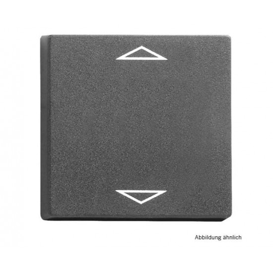 Surface rocker for switch SB