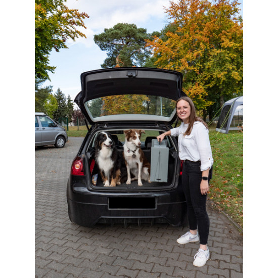 Emma plastic dog ramp