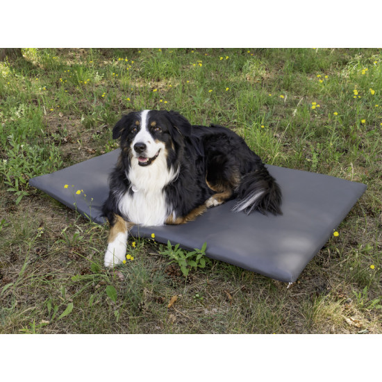 Dog mattress - rear cushion for VW T5/T6 California