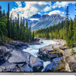 Smart TVs Royal Line Premium - Various sizes