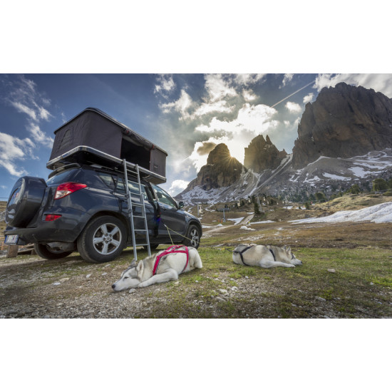 AUTOHOME 1.0 Hard Shell Roof Tent - Carbon Fabric - Black Shell - Small