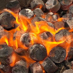 CASUS Bamboo Charcoal Briquettes