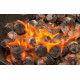 CASUS Bamboo Charcoal Briquettes