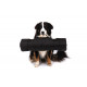 ABBY Outdoor Blanket for Dogs