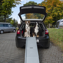 Emma plastic dog ramp
