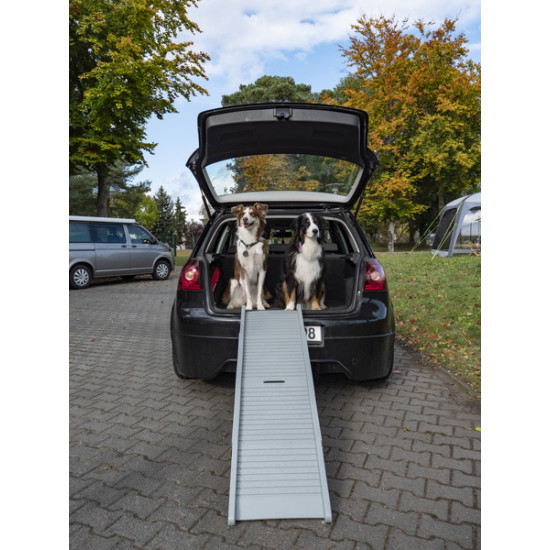 Emma plastic dog ramp