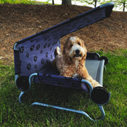 Disc-O-Bed dog bed DOG BED Large