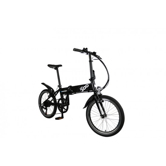 E-Bike CARL 300