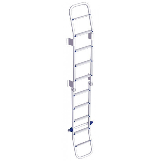 Folding ladder