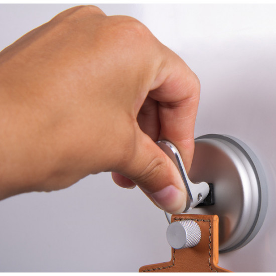 HOLIDAY TRAVEL - 2 hooks with suction cup