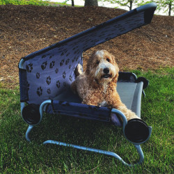 Disc-O-Bed dog bed DOG BED Small