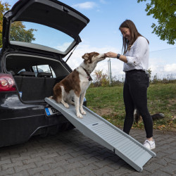 Emma plastic dog ramp