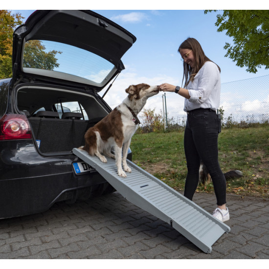 Emma plastic dog ramp