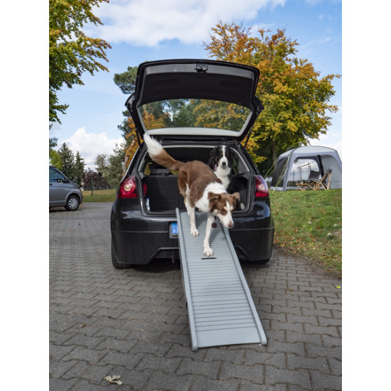 Emma plastic dog ramp