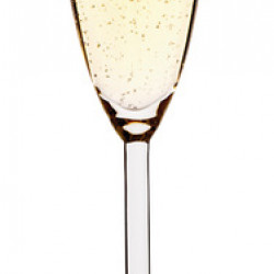 Camp4 Andalucia champagne glasses - set of 2 160 ml