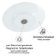 Porcelain dinner plates - set of 2 - apricot