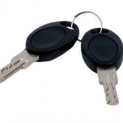 HSC system key, FW 484, 2 pieces, self-packaged
