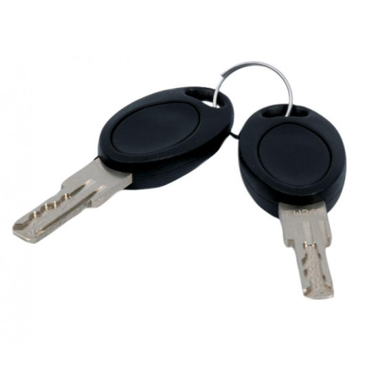 HSC system key, FW 483, 2 pieces, self-packaged