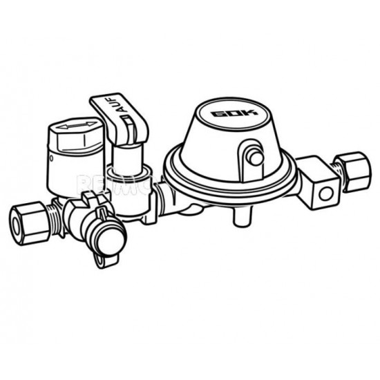 Gas tank regulator system RVS-RVS - 50 mbar