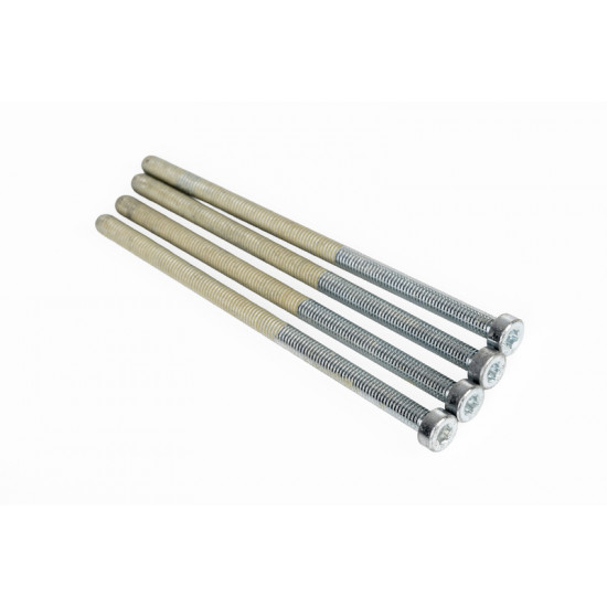 Cylinder screw M6x120 4 pcs