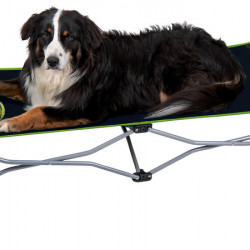 Momo Folding Dog Bed / Dog Lounger
