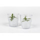 Jug with screw-on lid and 4 glasses 0.25 l