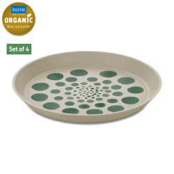 Set of 4 small plates - MONSTERA DOT