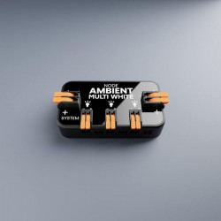 NODE-Multi White - Central lighting control