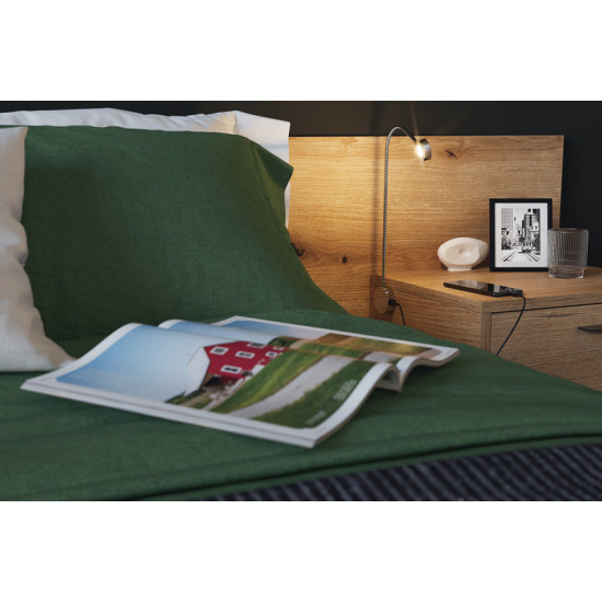 LED gooseneck lamp - Flexible reading lamp - 12 V 1.4 W