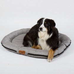 HOLIDAY TRAVEL outdoor dog bed