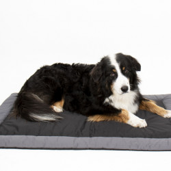 ABBY Outdoor Blanket for Dogs