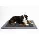 ABBY Outdoor Blanket for Dogs