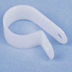 Shell. Plastic 25.5mm loose