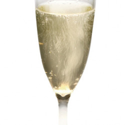 Camp4 Plastic Champagne Glasses Tarifa - Set of 2