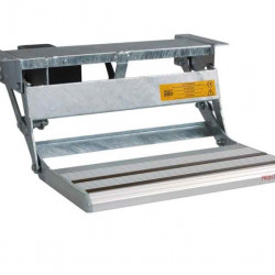 Anti-slip mat for double step