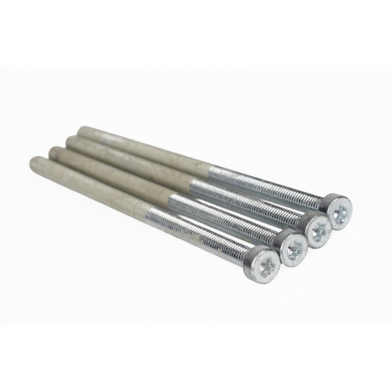 Cylinder screw M6x120 4 pcs