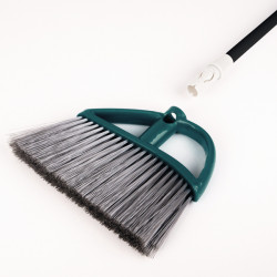 Professional sweeper