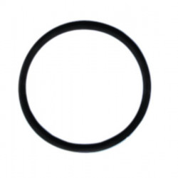 Gasket for inlet cover 61250