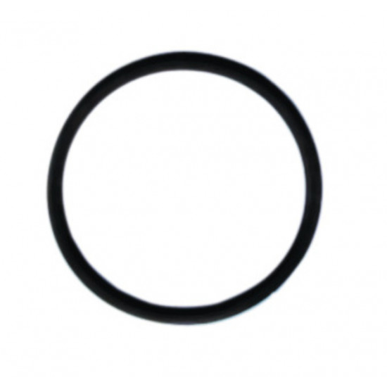 Gasket for inlet cover 61250