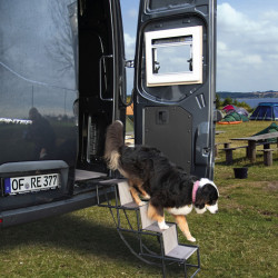 Camp4 Foldable Dog Ramp