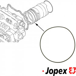 Gasket for cylinder liner