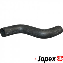 Radiator hose, water flange to cylinder head