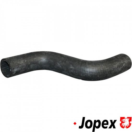 Radiator hose, water flange to cylinder head