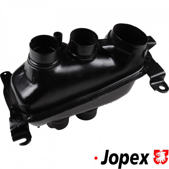 Intake air distributor