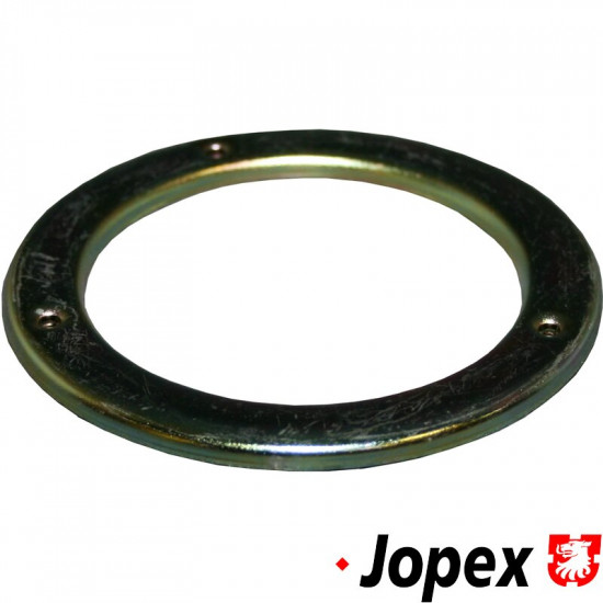 Ring for fuel filler neck