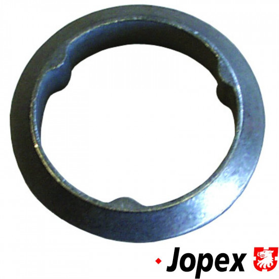 Gasket for catalytic converter