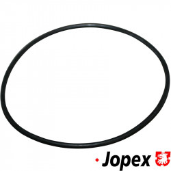 O-ring for differential